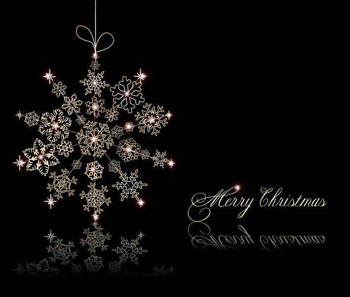 free vector Christmas snowflake ornaments vector